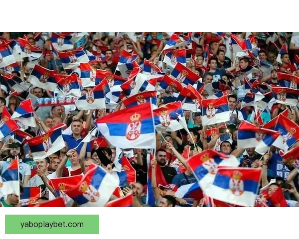 亚博体育最新地址揭秘：最新平台动态及全面解析